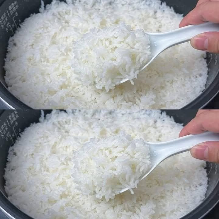 Adding only water when cooking rice is a big mistake. I will share with you the secret that hotels use.