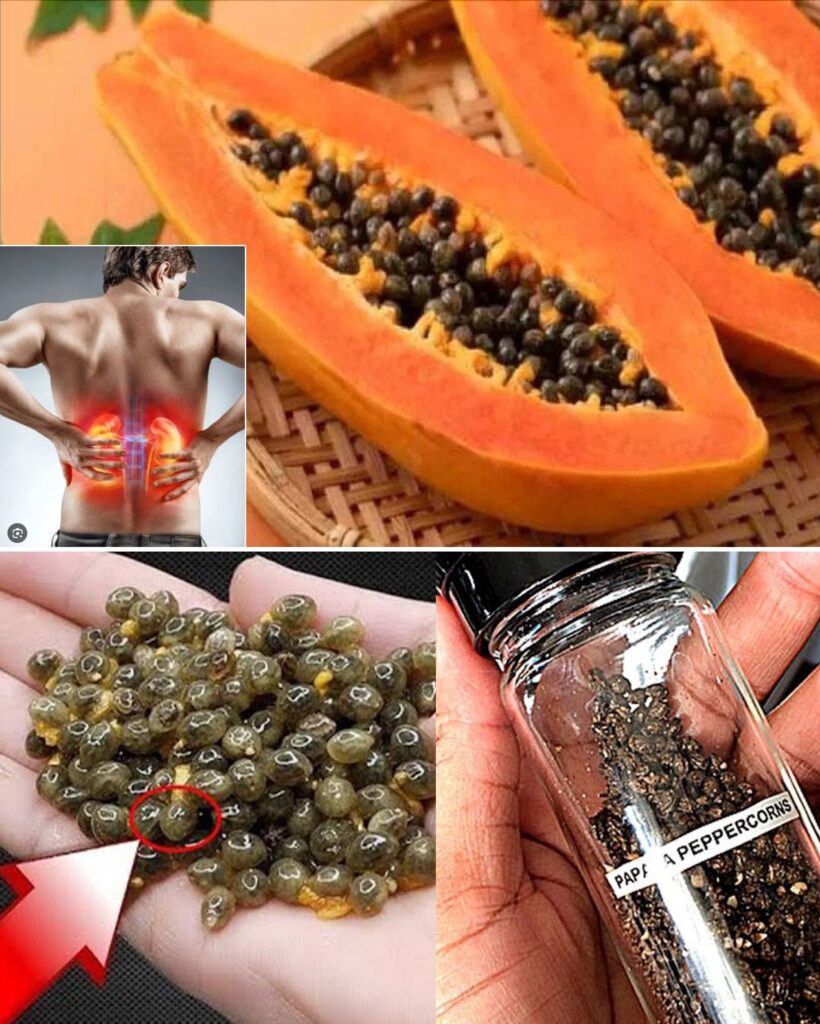 The Powerful Health Benefits of Papaya Seeds: Why You Should Include Them in Your Diet