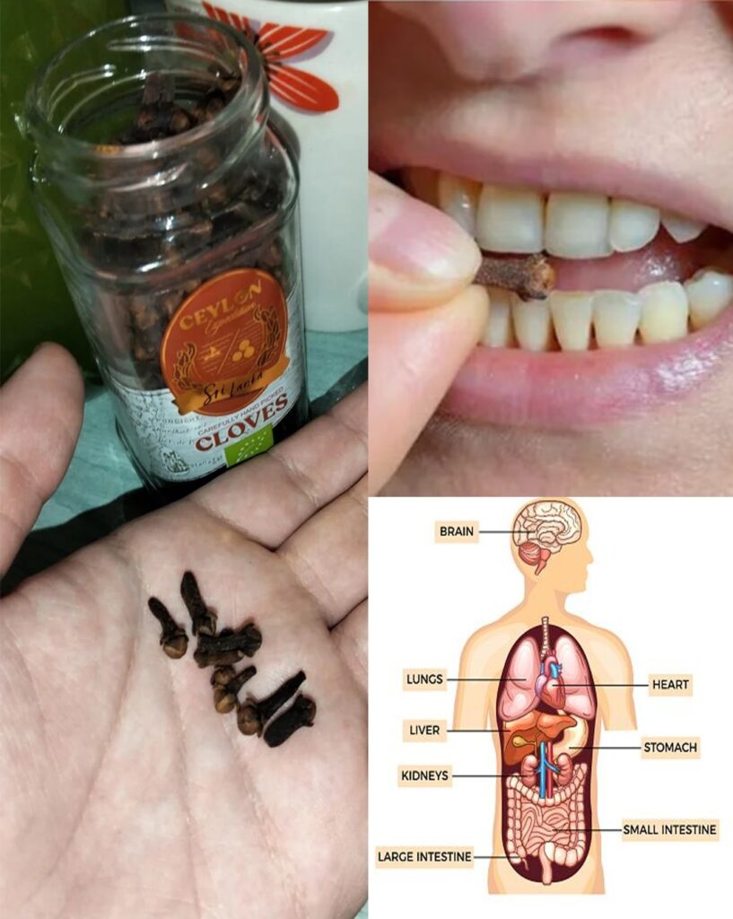 Chewing Cloves Daily: A Tiny Habit with Massive Health Benefits