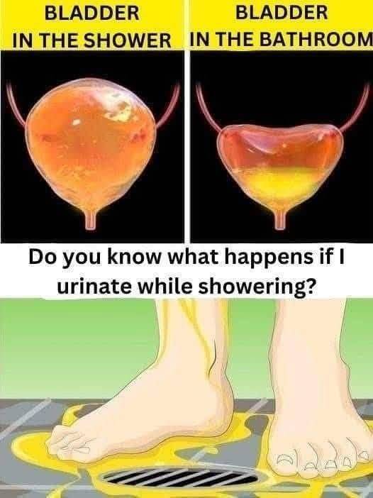 Peeing in the Shower, Doctor Explains Why Women Shouldn’t