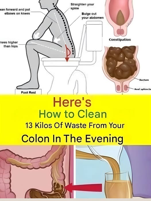 How to Support Colon Health at Night – A Gentle, Natural Approach