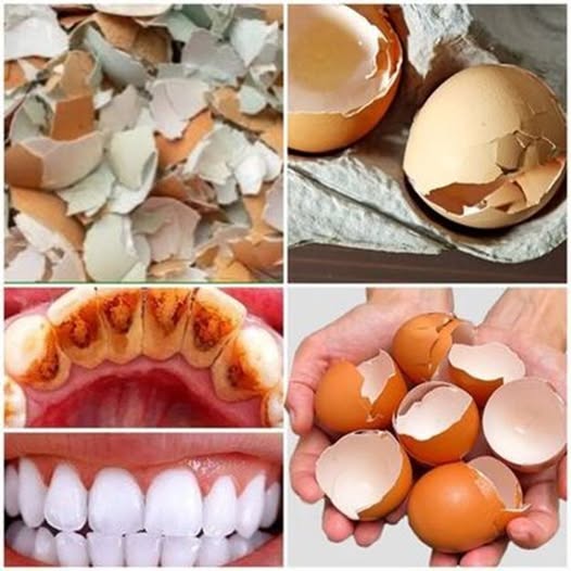 Eggshell Tartar Removal!