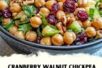 Cranberry Walnut Chickpea Salad with Orange Vinaigrette