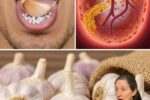 How Onions and Garlic Can Help You Get Relief From Chronic Coughs