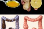 The Miracle Drink That Flushes Out 15kg of Toxins from Your Gut and Blood Vessels – Time-Tested Formula