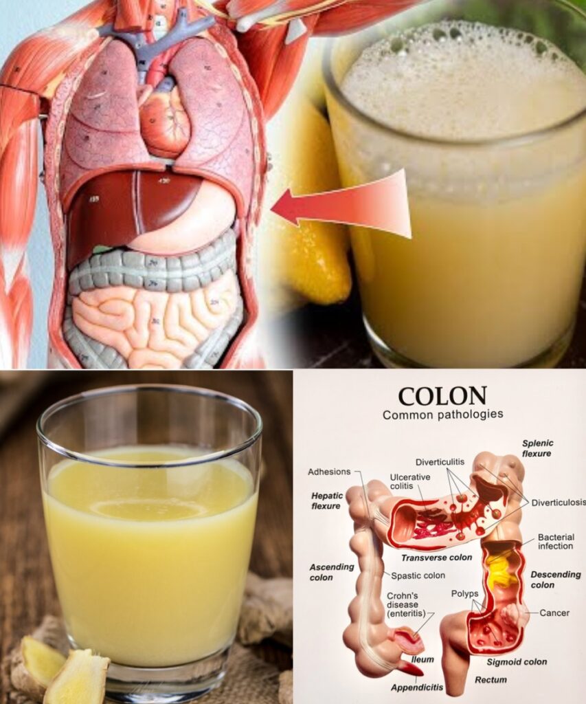 7 Gentle Ways to Support a Healthy Colon Overnight