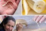 The Tiny Strings on Bananas Their Surprising Purpose!