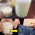 Rice Milk: A Simple, Nourishing Drink You Can Make at Home 🌾🥛