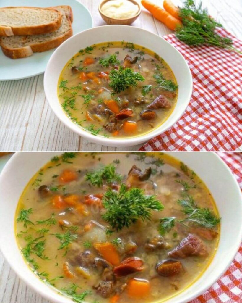 Aromatic and Rich Boletus Mushroom Soup