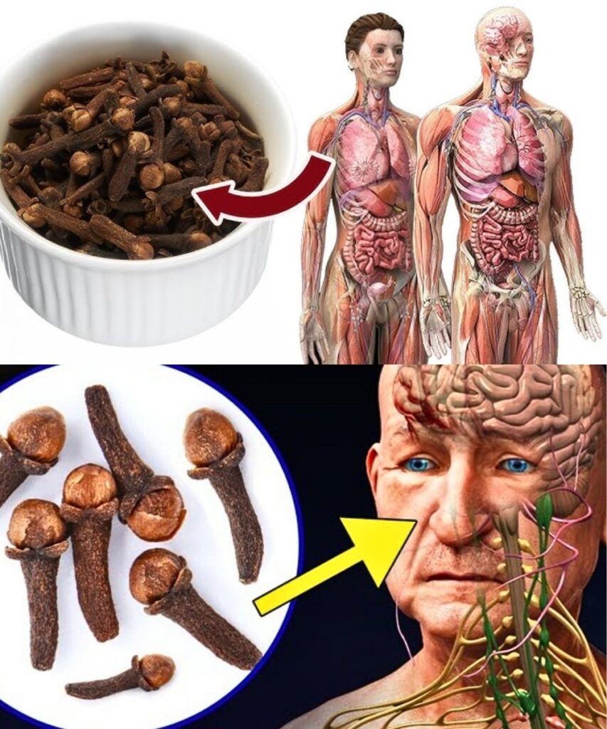 🌿 After 50: Chew 2 Cloves Daily on an Empty Stomach and Your Body Will Thank You