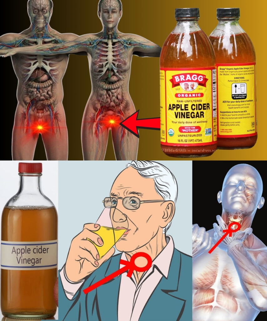 🍎 Apple Cider Vinegar: 8 Gentle Benefits That Make a Big Difference in 2025