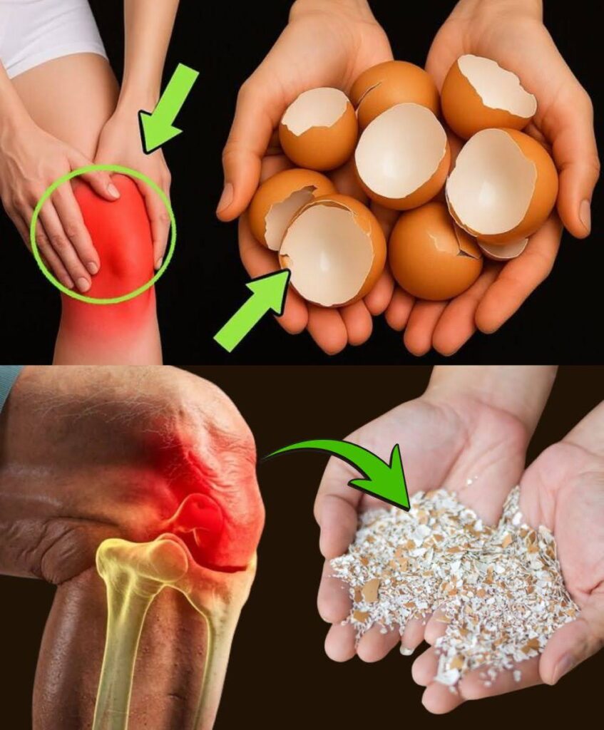  Don’t Ever Throw Away Eggshells Again After Reading This – You Won’t Believe How Useful They Are!