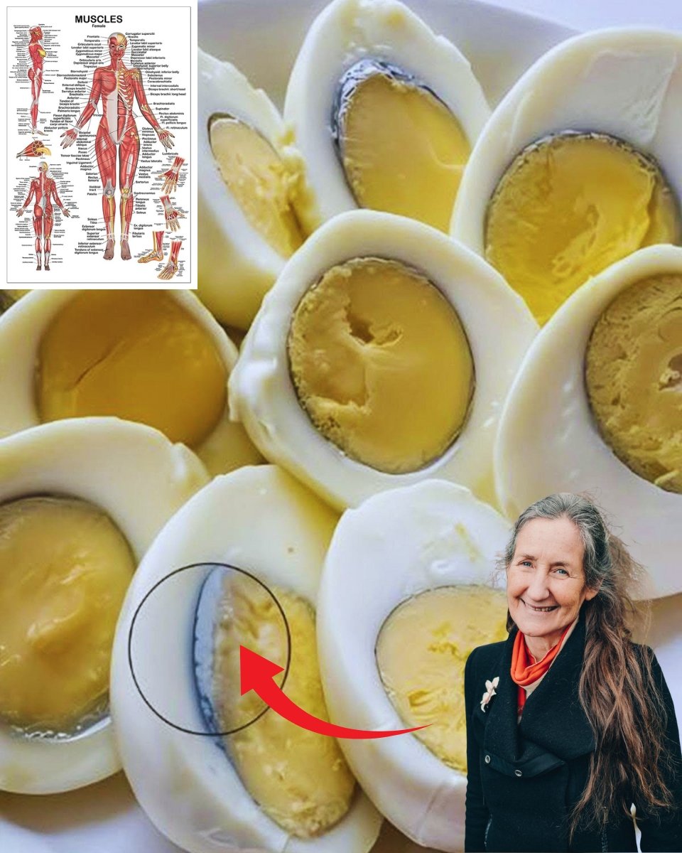 🥚 Why Does a Green Ring Appear Around a Boiled Egg Yolk? The Science Behind This Kitchen Mystery