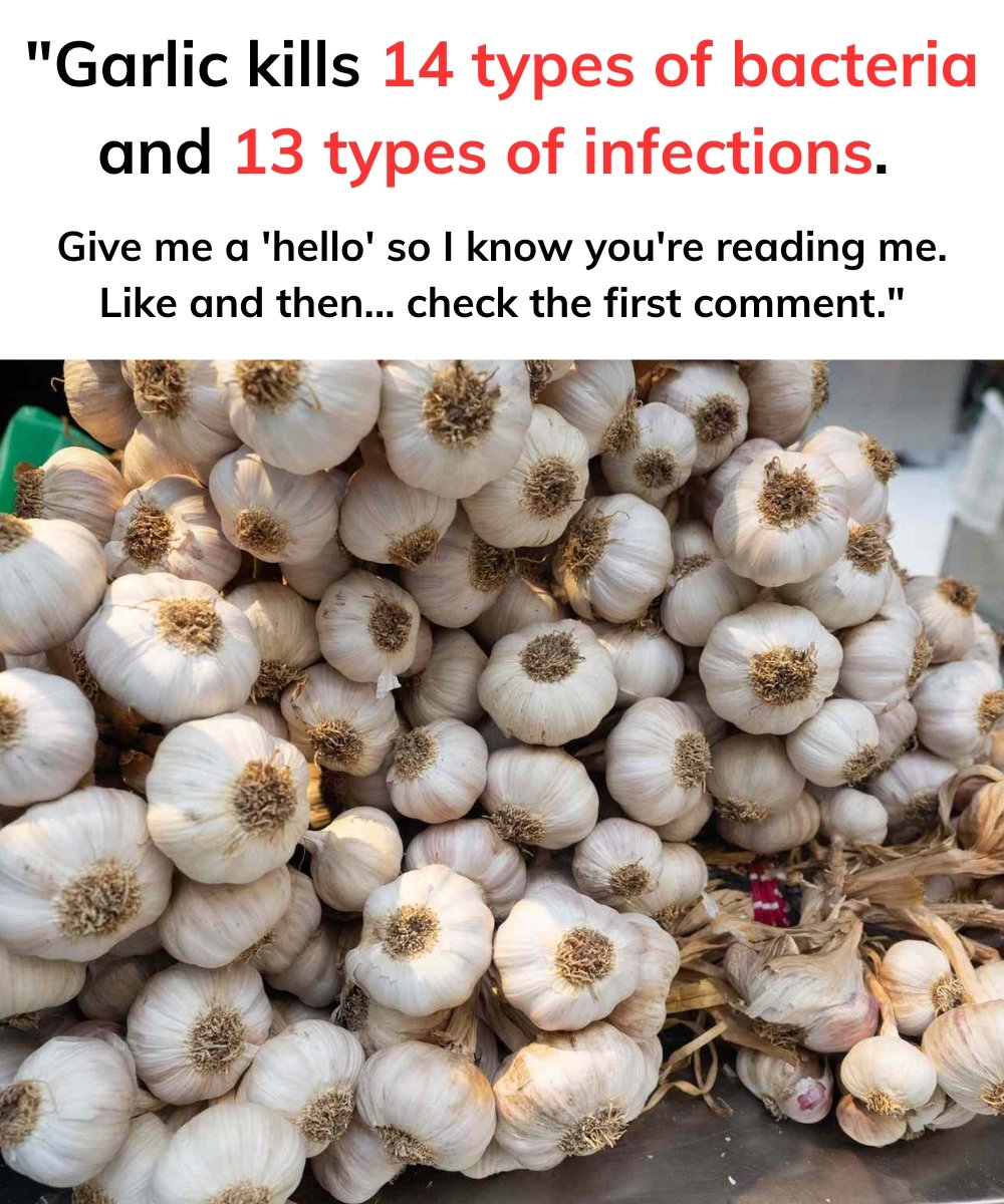 Garlic and Clove: Two Treasures for Your Health