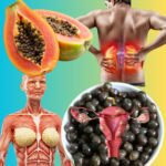 Unlocking the Hidden Potential of Papaya Seeds: A Nutritional Treasure