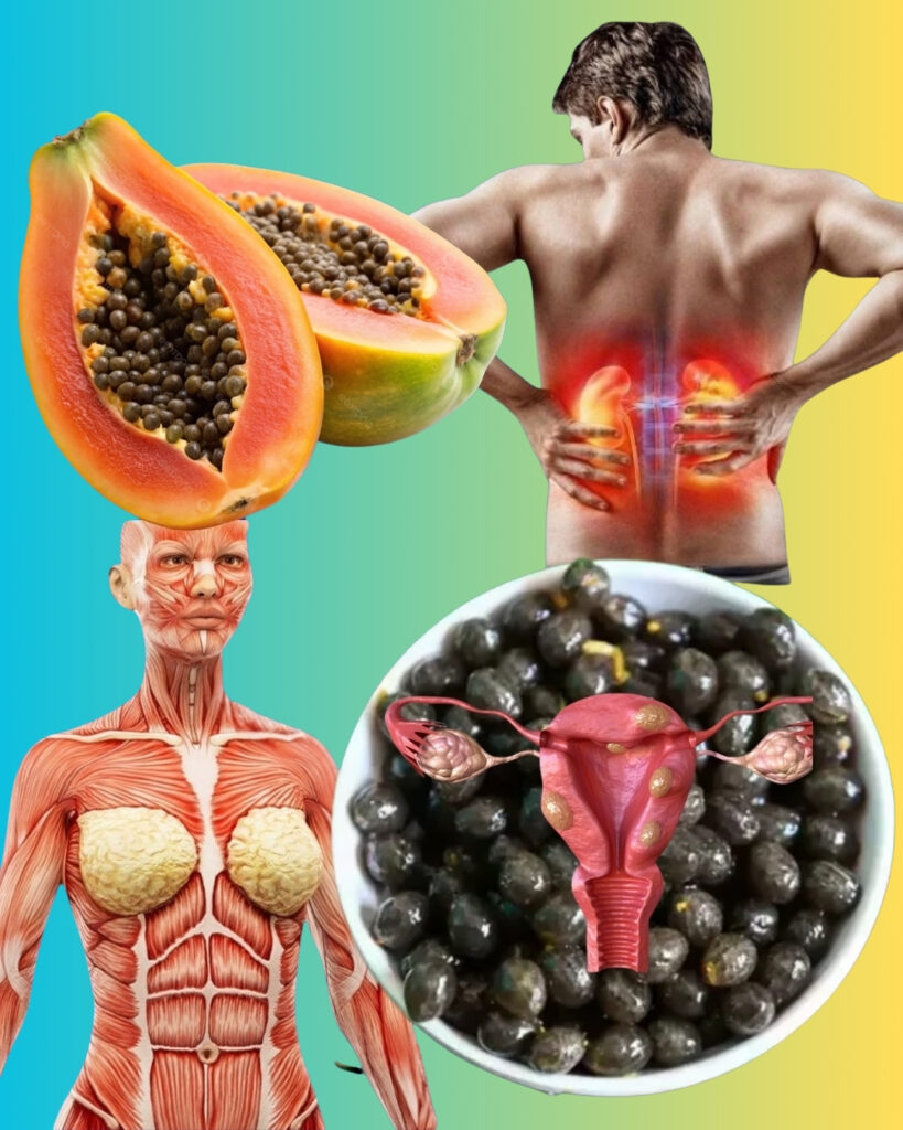 Unlocking the Hidden Potential of Papaya Seeds: A Nutritional Treasure