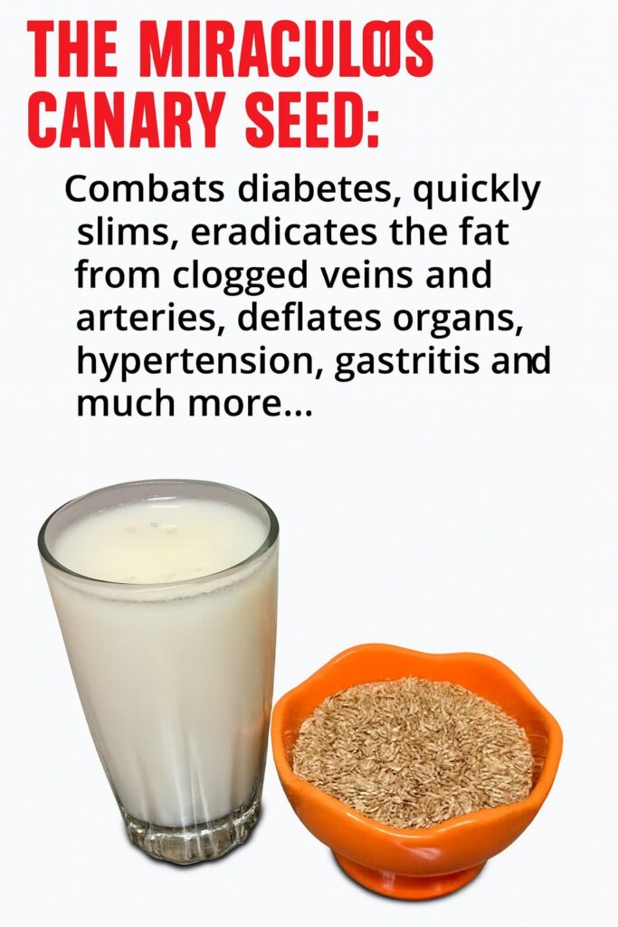 Canary Seed Tea: All the Benefits of This Easy-to-Make Super Drink