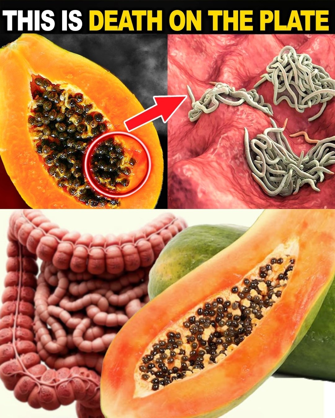 Papaya Seeds: How Many to Eat, When, to Rejuvenate Naturally and Eliminate Parasites