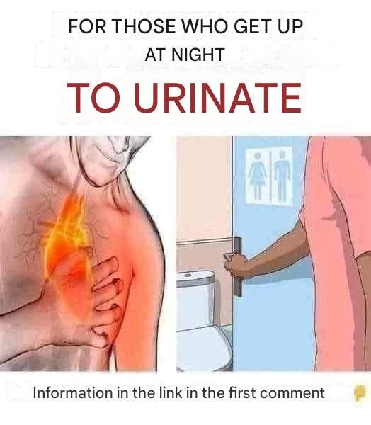 6 Reasons Why You Pee A Lot