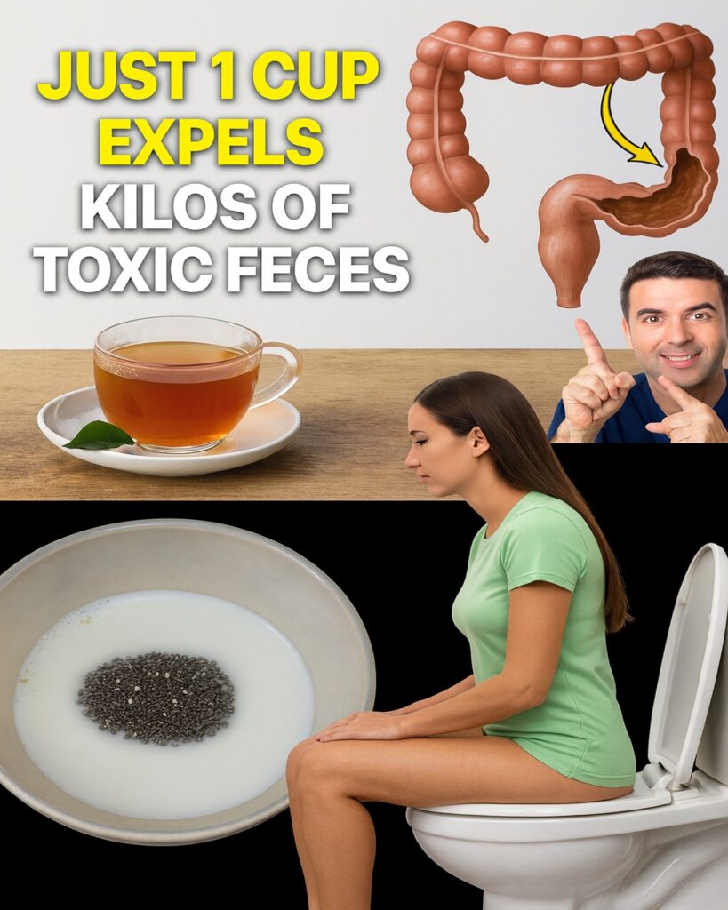 Heal Your Gut Naturally: The Chia Seed Solution