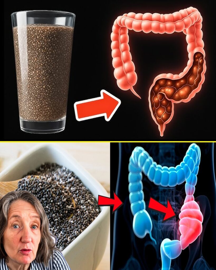 The Gut: The Hidden Root of All Diseases