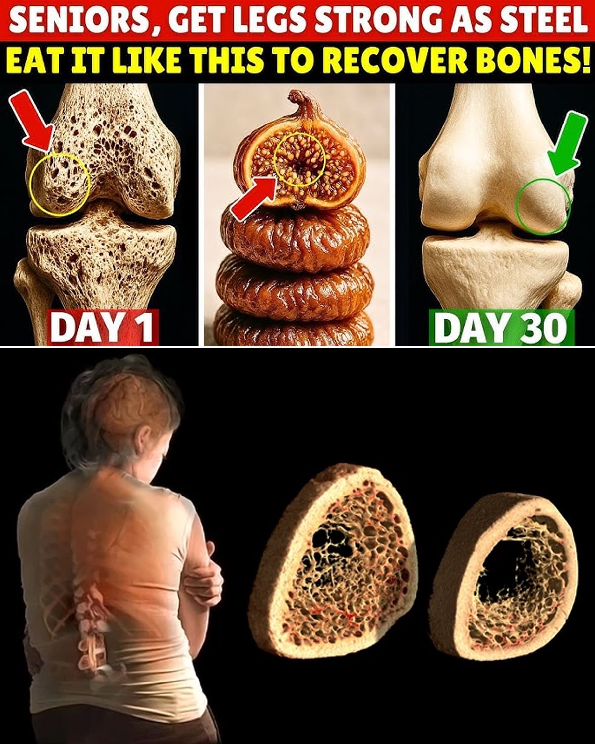 Orthopedist’s Secret: Repair Cartilage Naturally in 24 Hours