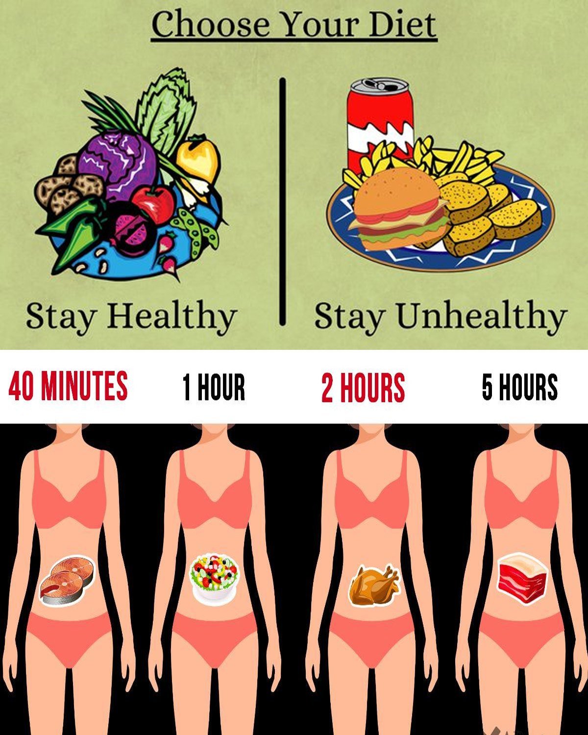 How Long Does Your Stomach Take to Digest Food? The Surprising Truth About What Happens After You Eat