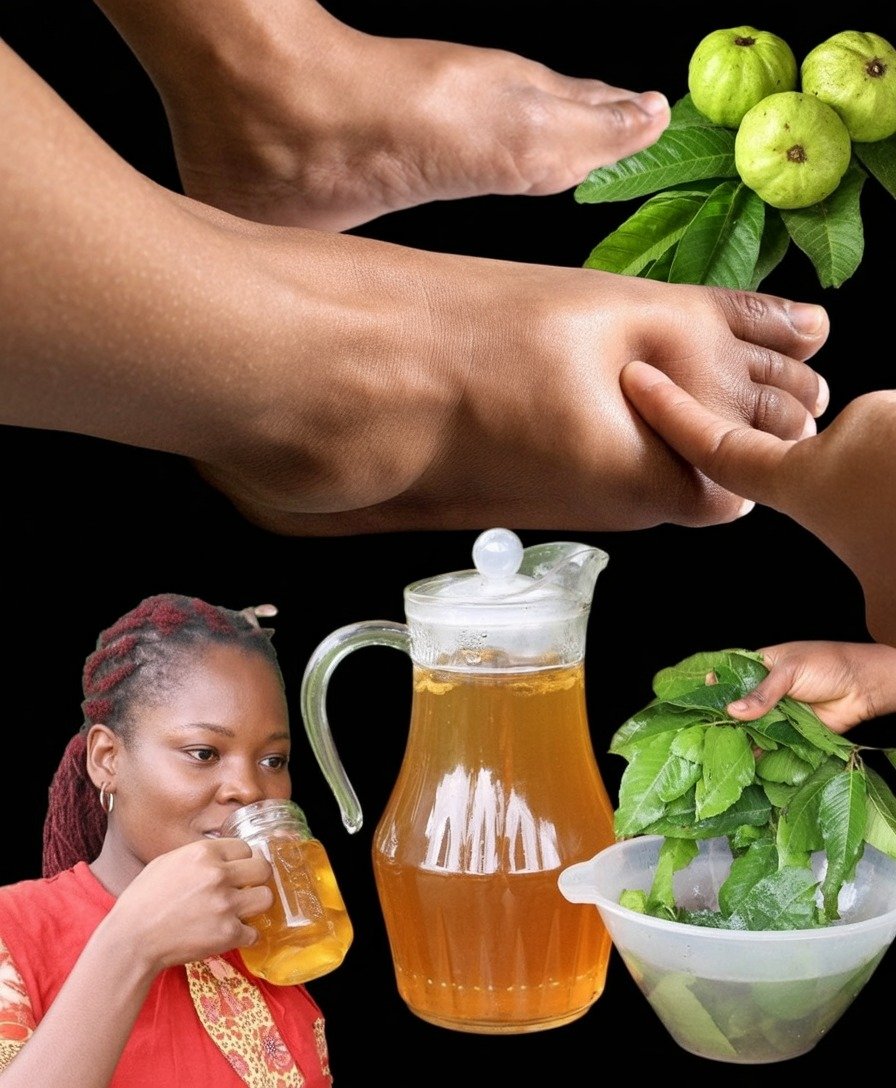 Banish Swollen Legs with Guava Leaf Tea
