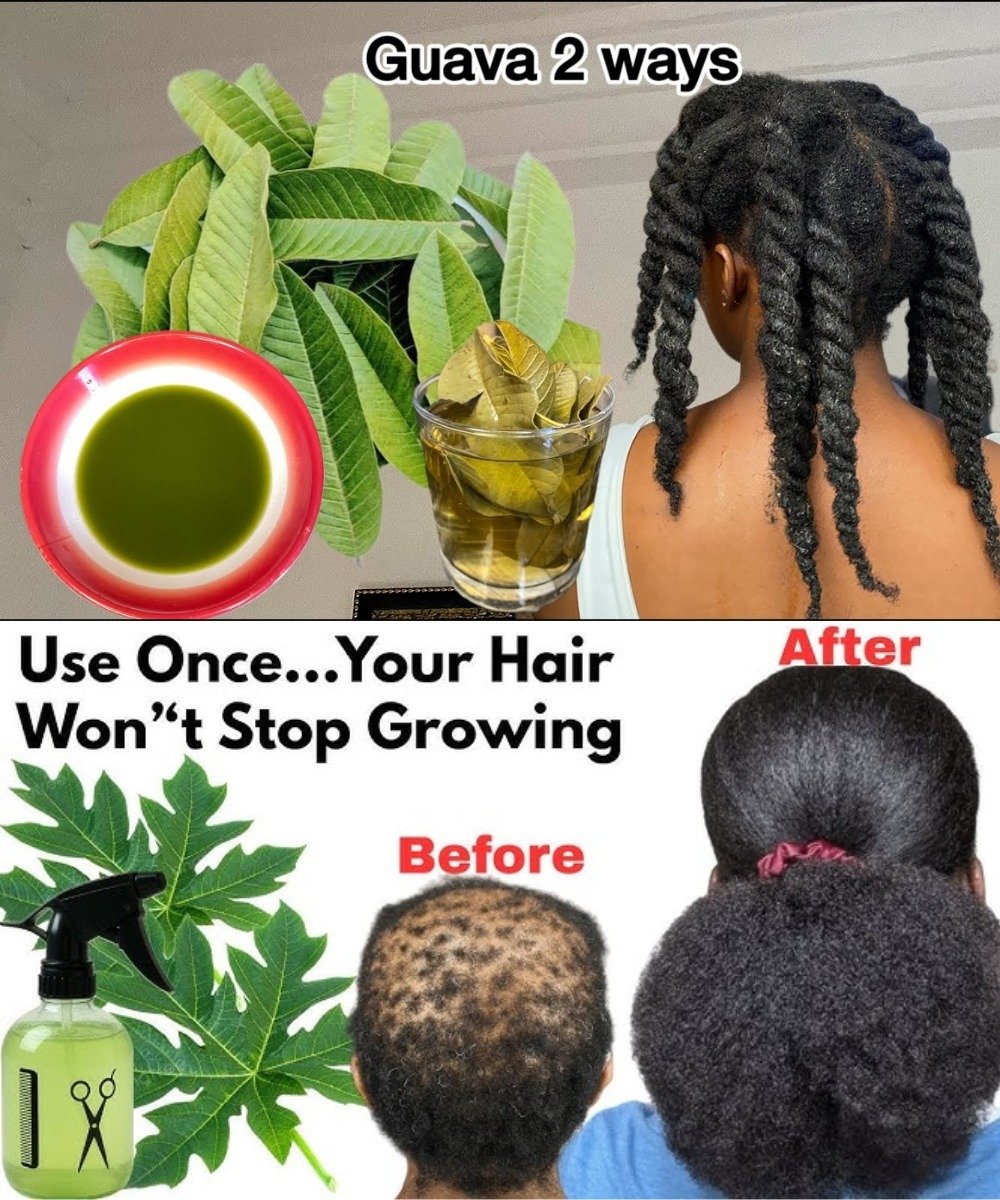 Guava Leaf Drink and Spray for MASSIVE Hair Growth – Use 3–4 Times Weekly