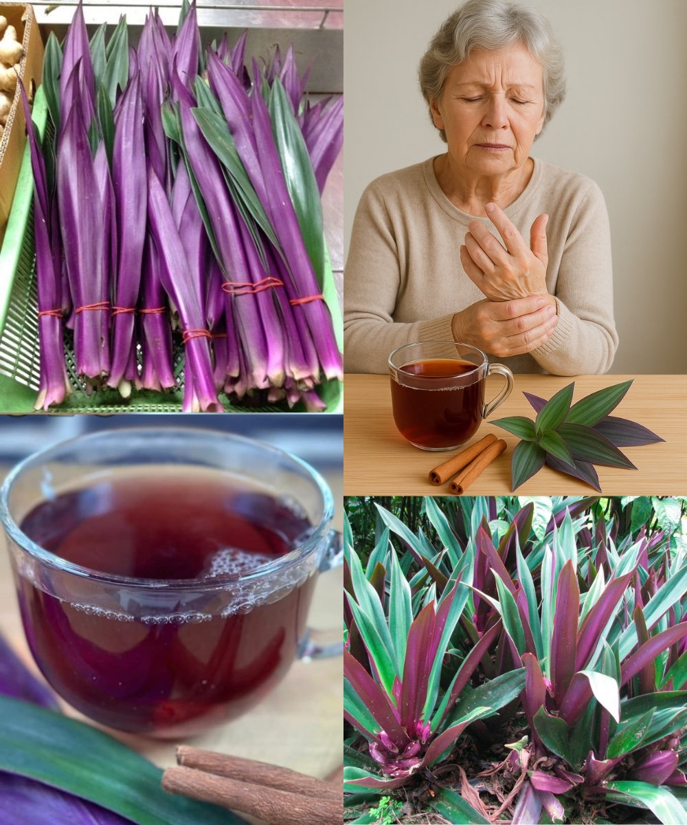 🌿 Say Goodbye to Urinary Problems, Asthma, Diabetes, Poor Circulation, Fatty Liver, and High Blood Pressure with This Powerful Plant!