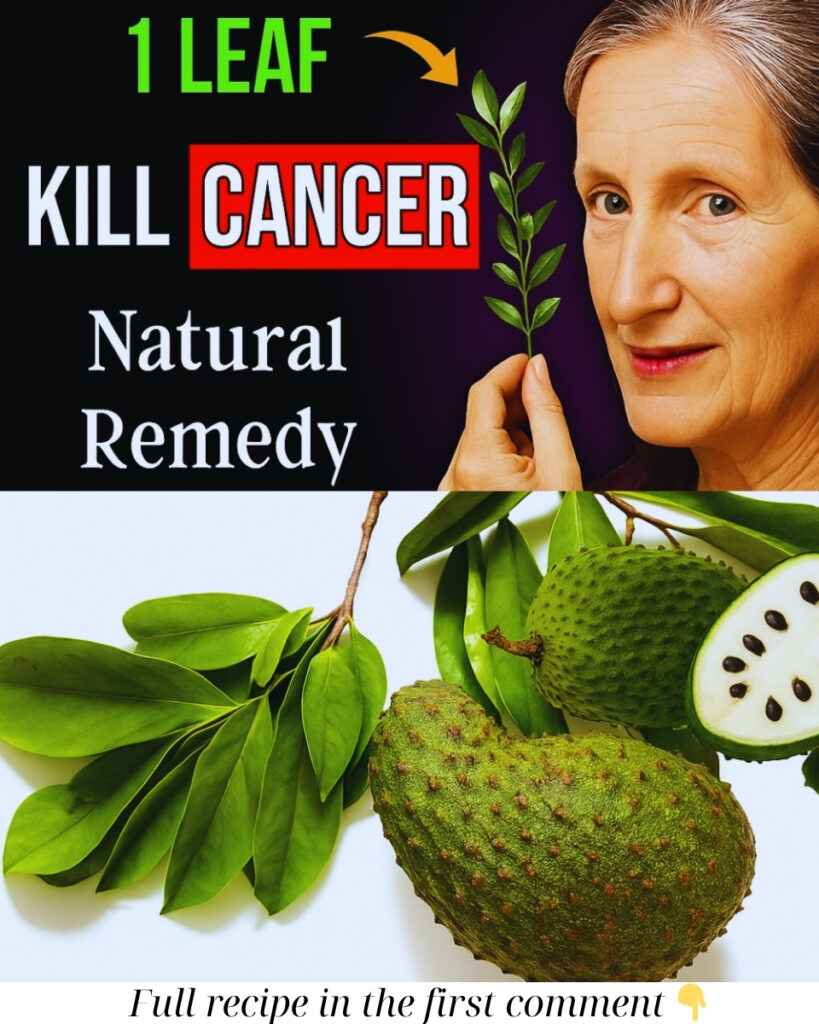 🌿 THE POWER OF NATURE: Discovering the Healing Potential of Graviola (Soursop Leaf)