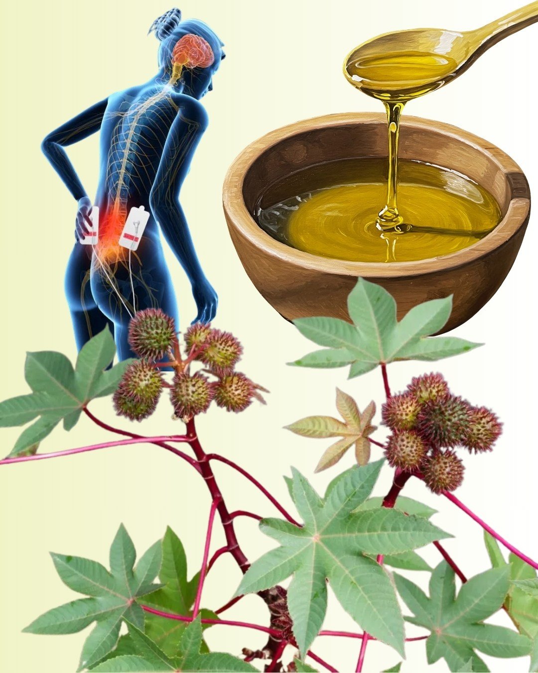 🌿 Discover the Hidden Gold in Your Garden: The Amazing Power of Castor Leaves