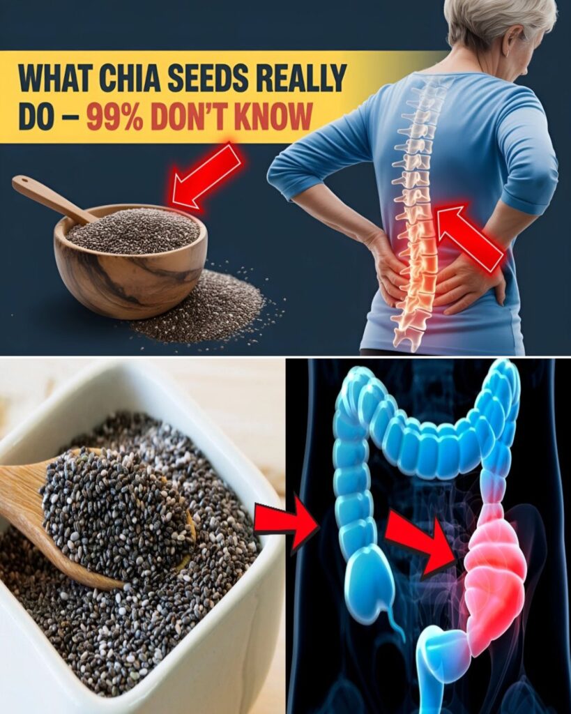 The Right and Wrong Way for Seniors to Eat Chia Seeds