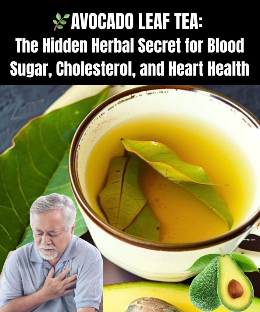🌿 Avocado Leaf Tea: The Hidden Herbal Secret for Blood Sugar, Cholesterol, and Heart Health