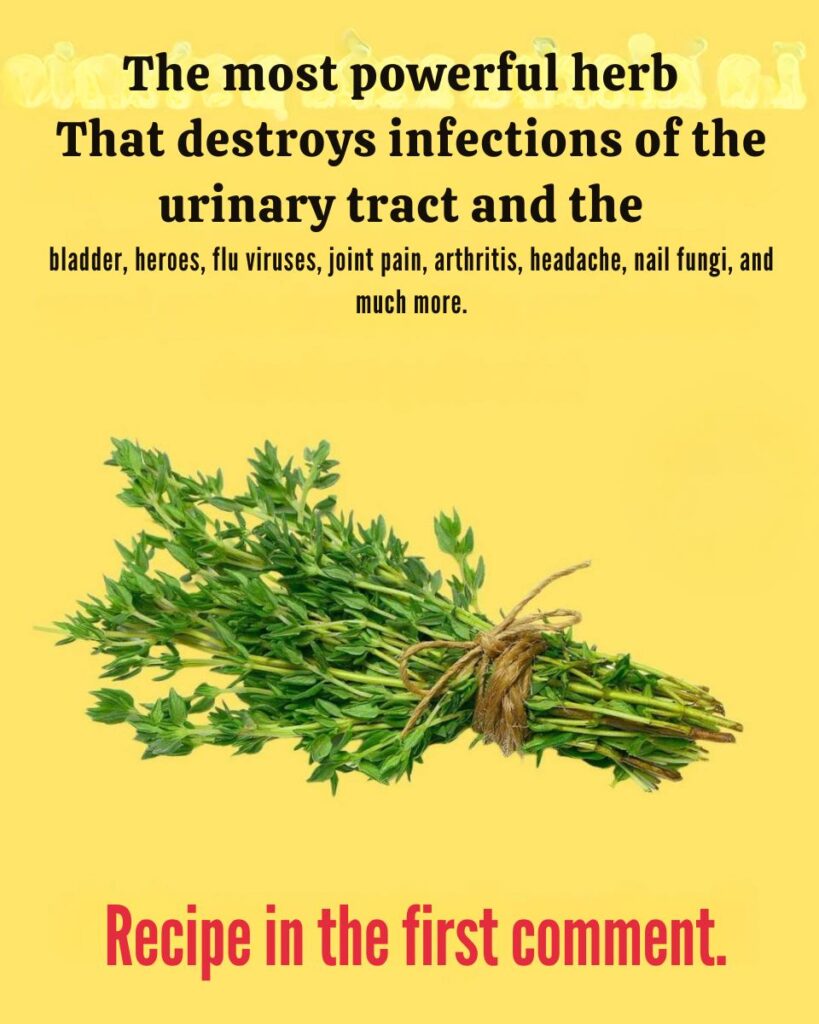 🌿 Thyme for Vertigo and Fibromyalgia: Gentle Natural Remedies