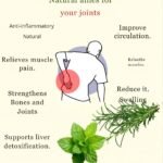 Peppermint and Rosemary: A Natural Duo for Joint Discomfort Relief 🌿✨