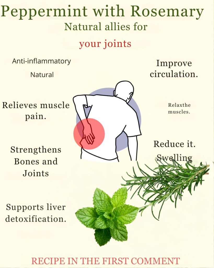Peppermint and Rosemary: A Natural Duo for Joint Discomfort Relief 🌿✨