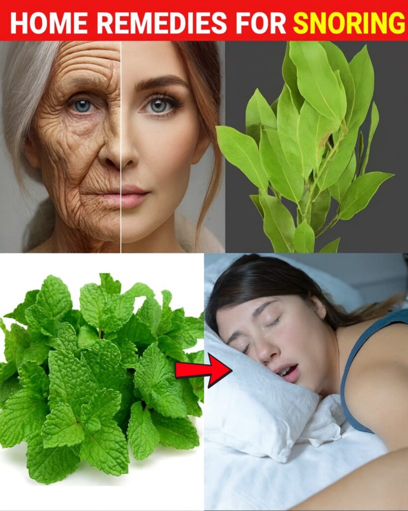 Discover 6 Garden Leaves to Quiet Your Snoring