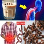 Unlock Nature’s Secret: Almond Milk Clove Elixir Heals!