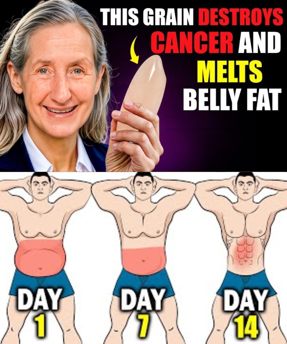 🌾 Ancient Grains, Modern Benefits: 4 Gentle Foods That May Support Digestion, Energy & Wellness