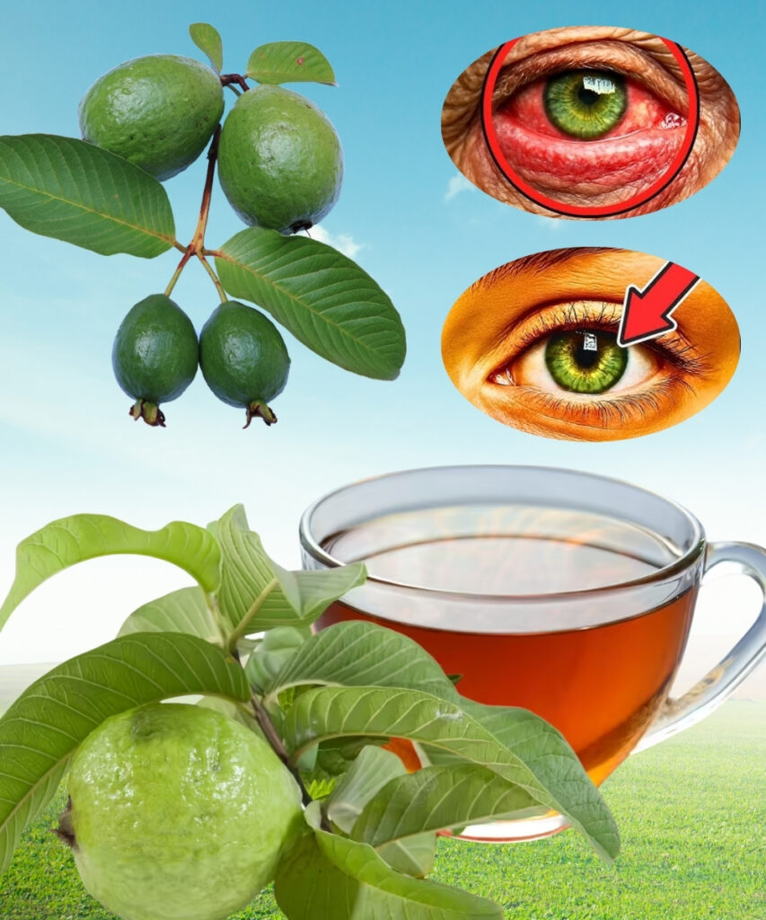 🌿 How to Use Guava for Eye Care: Natural Remedies That Actually Work