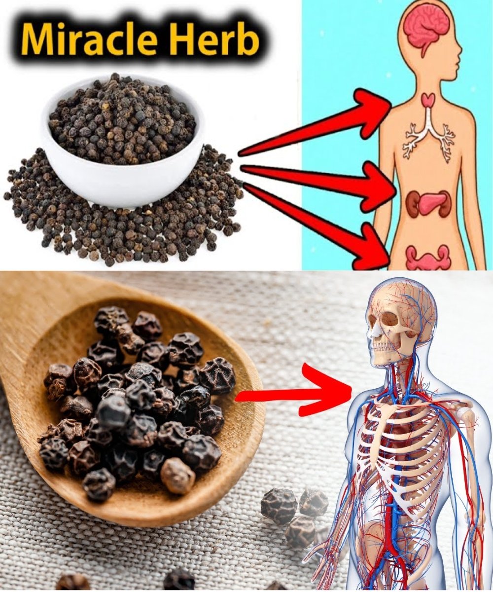 🌙 9 Powerful Health Benefits of Chewing Black Pepper Before Bed (90% of People Don’t Know This!) 🌿