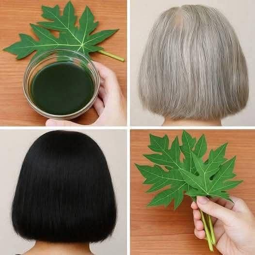Embrace Papaya Leaves for Youthful Hair!