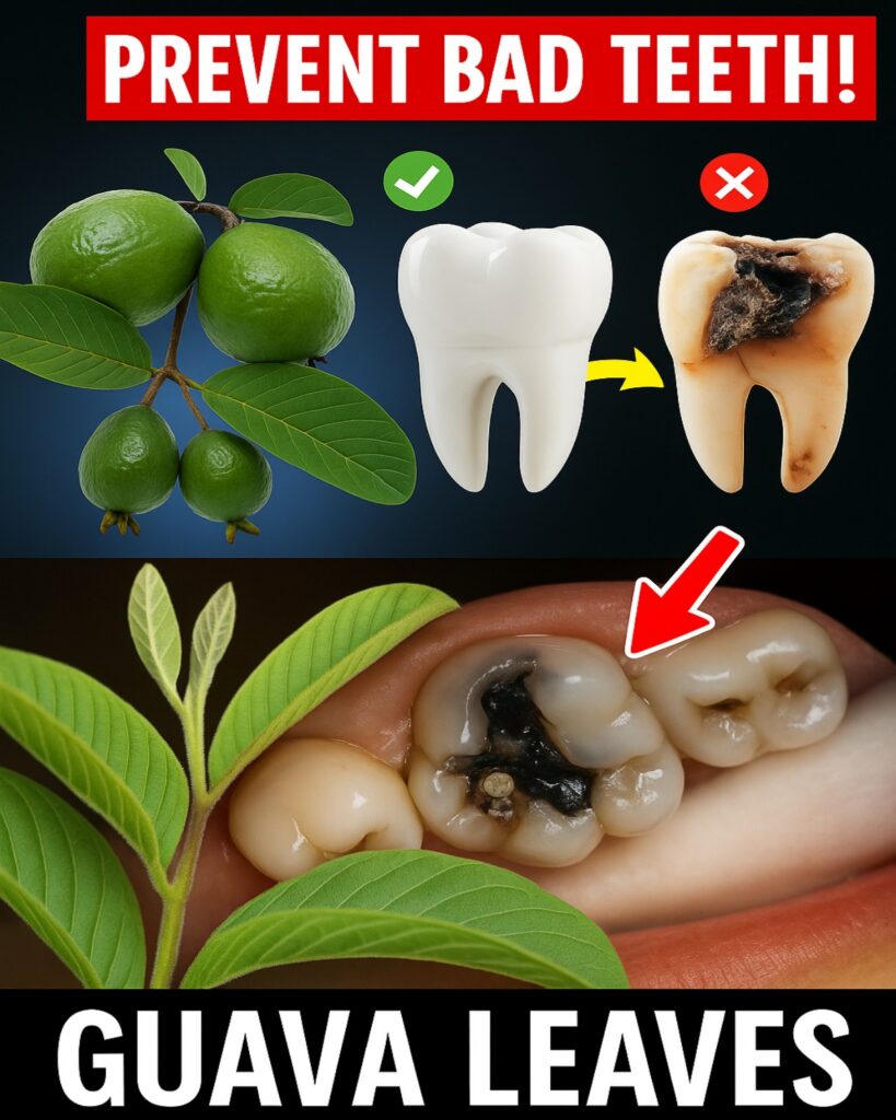 3 Simple Ways Guava Leaves May Help Tooth Decay