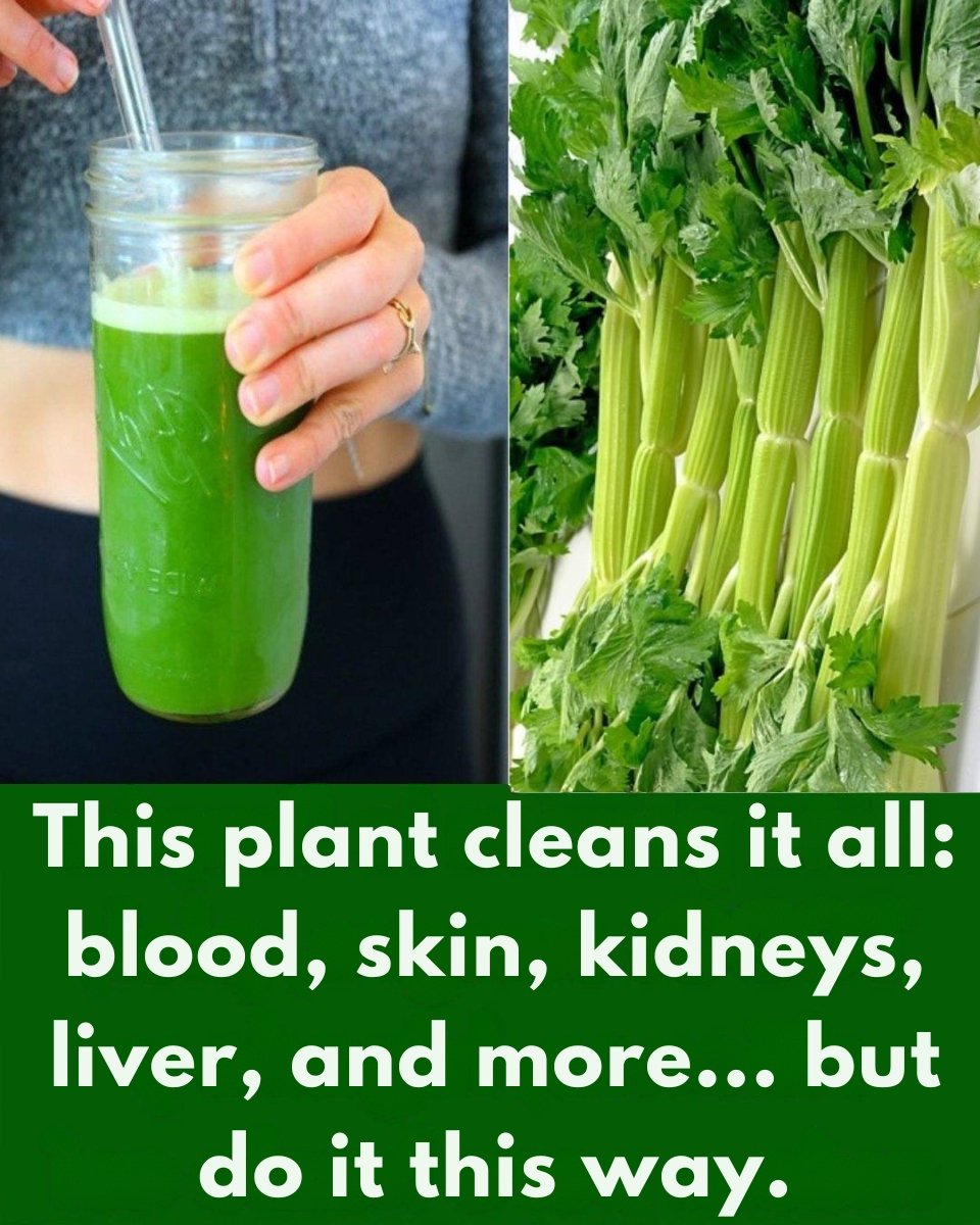 Celery Juice for Kidneys, Liver & Lungs: A Gentle Guide, Recipe & Care 🍃🥕🍏