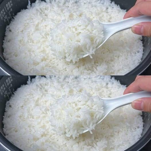 Adding only water when cooking rice is a big mistake. I will share with you the secret that hotels use.