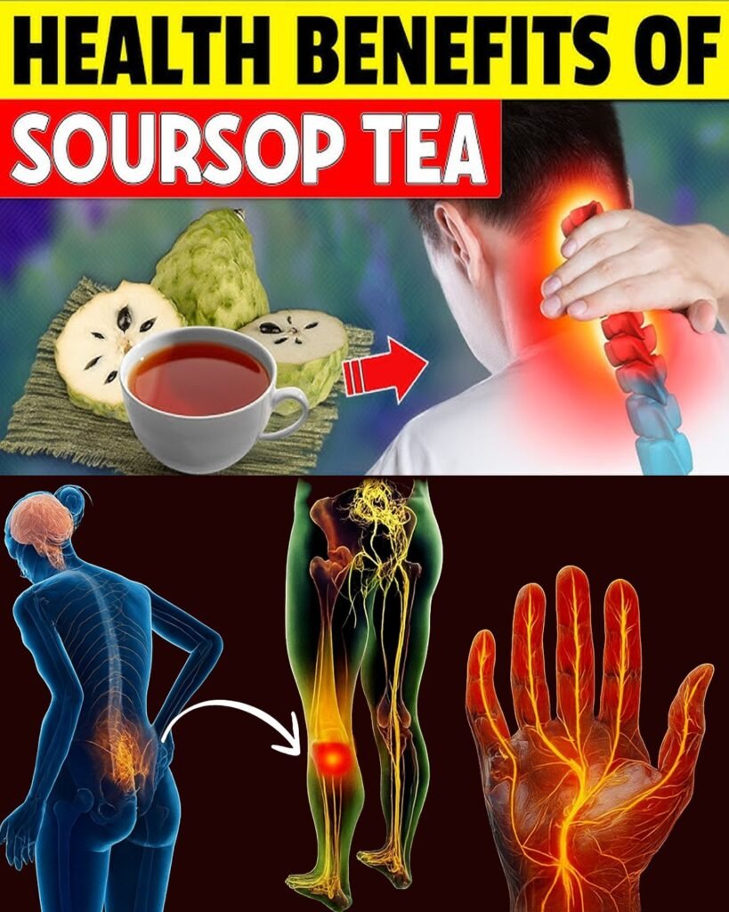 13 Powerful Benefits of Soursop Leaf Tea That Will Make You Rethink Your Evening Ritual