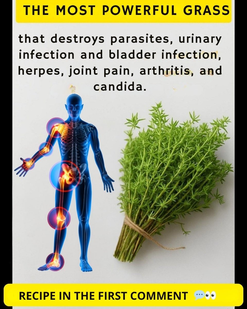 🌿 Thyme: The Natural Remedy for a Wide Range of Health Benefits