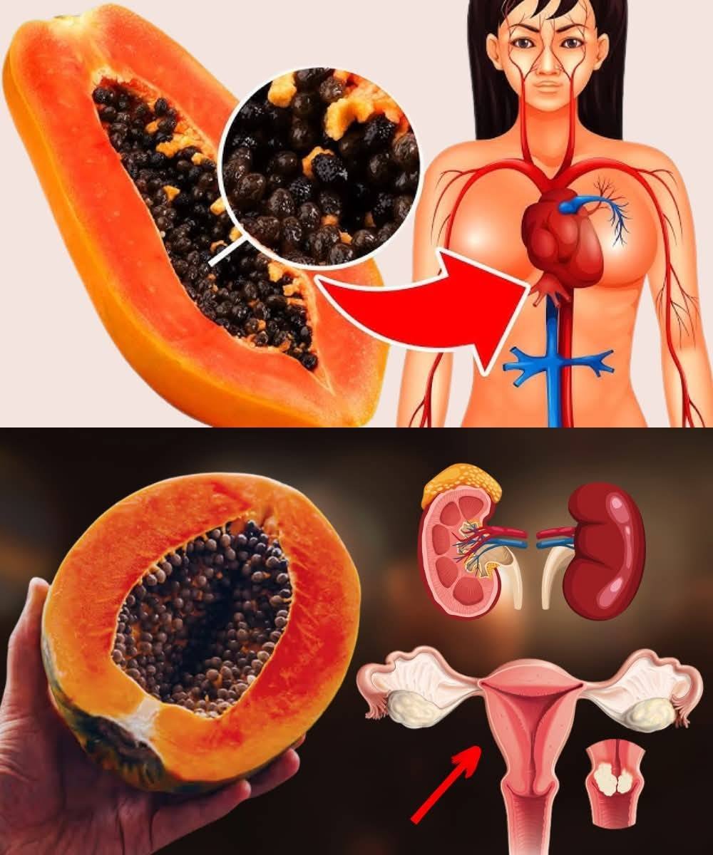 Unlocking the Hidden Potential of Papaya Seeds: A Nutritional Treasure