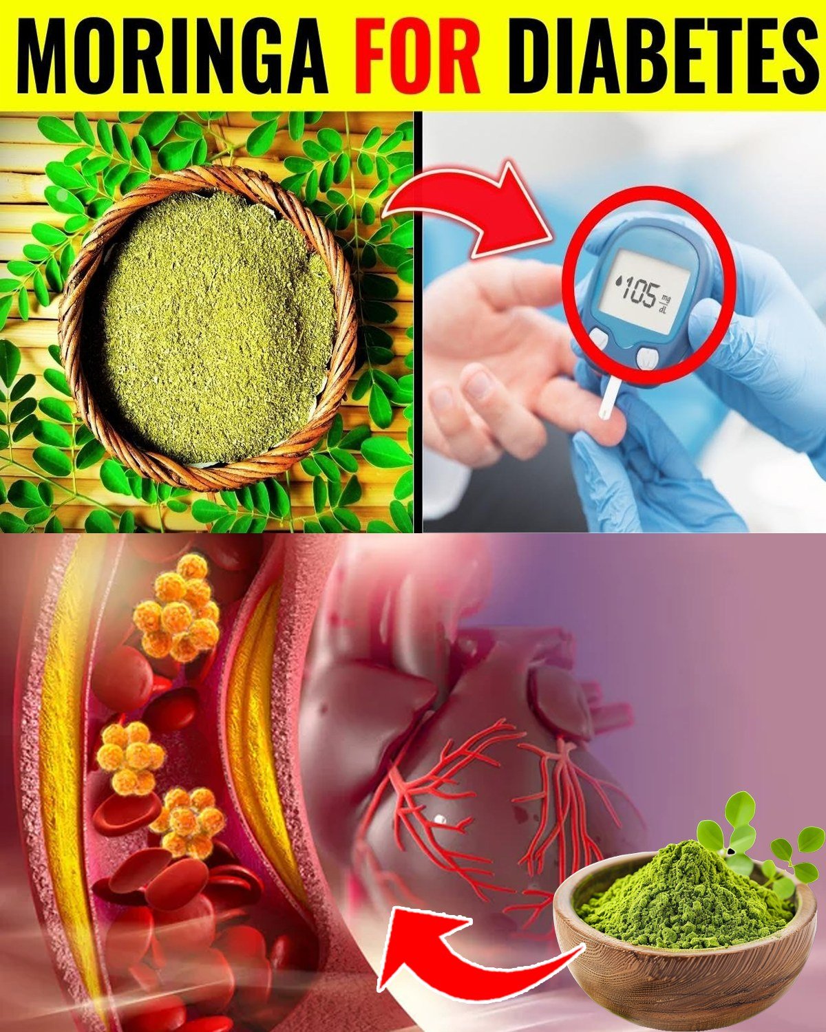 You Won’t Believe What Moringa Powder Can Do for Your Diabetes